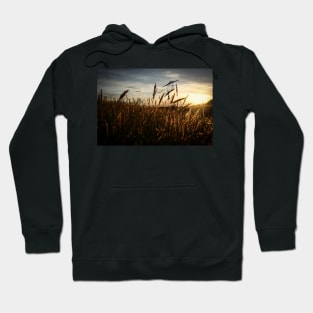 As The Sun Sets Hoodie